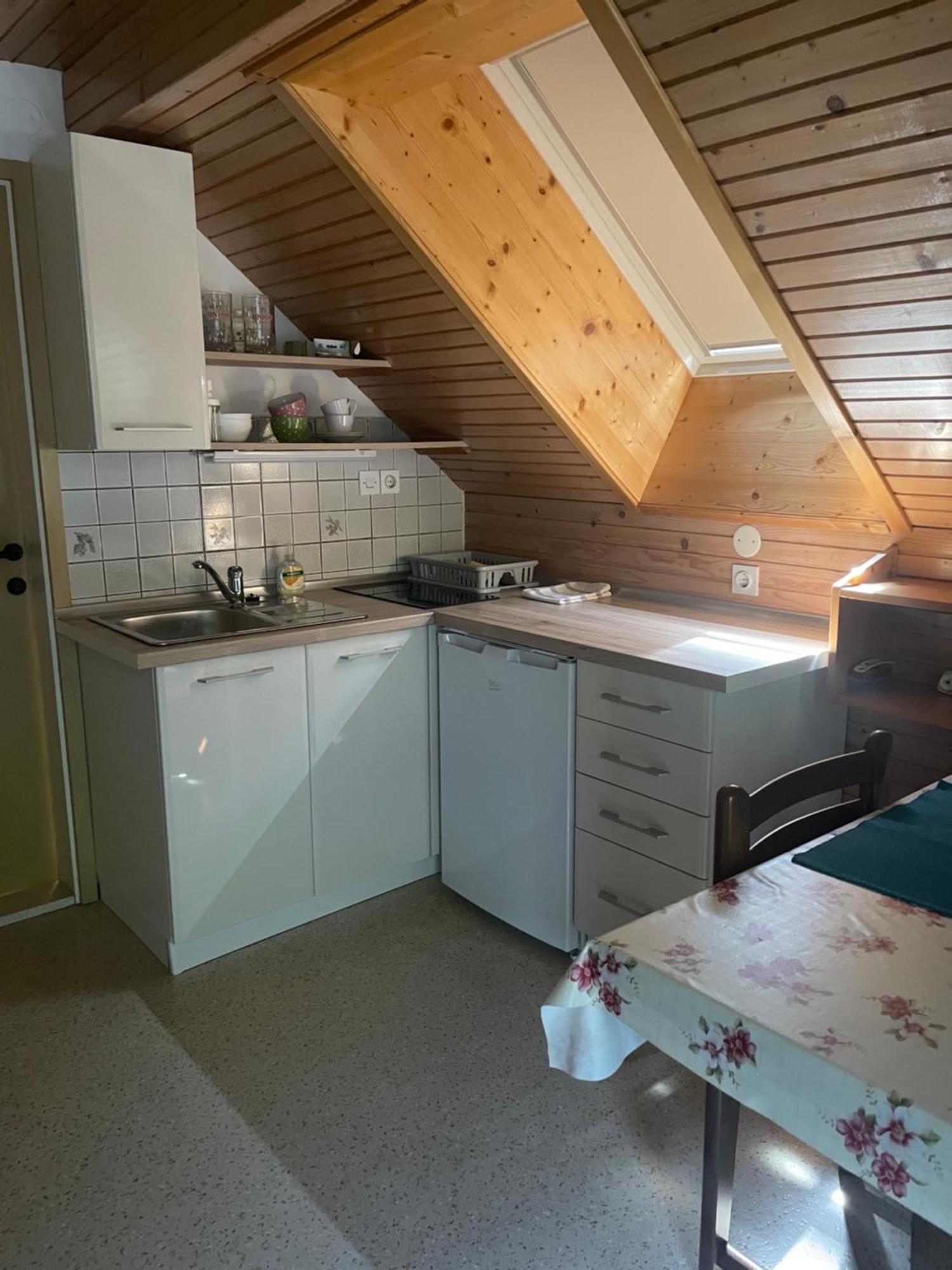 Apartment Cvetek Janez 보히니 외부 사진